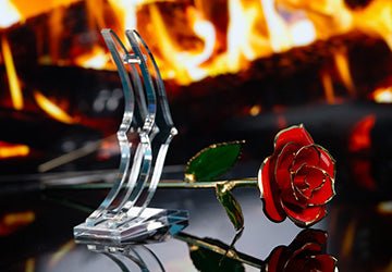 Things to Do with Your Holidate - My Custom Heart