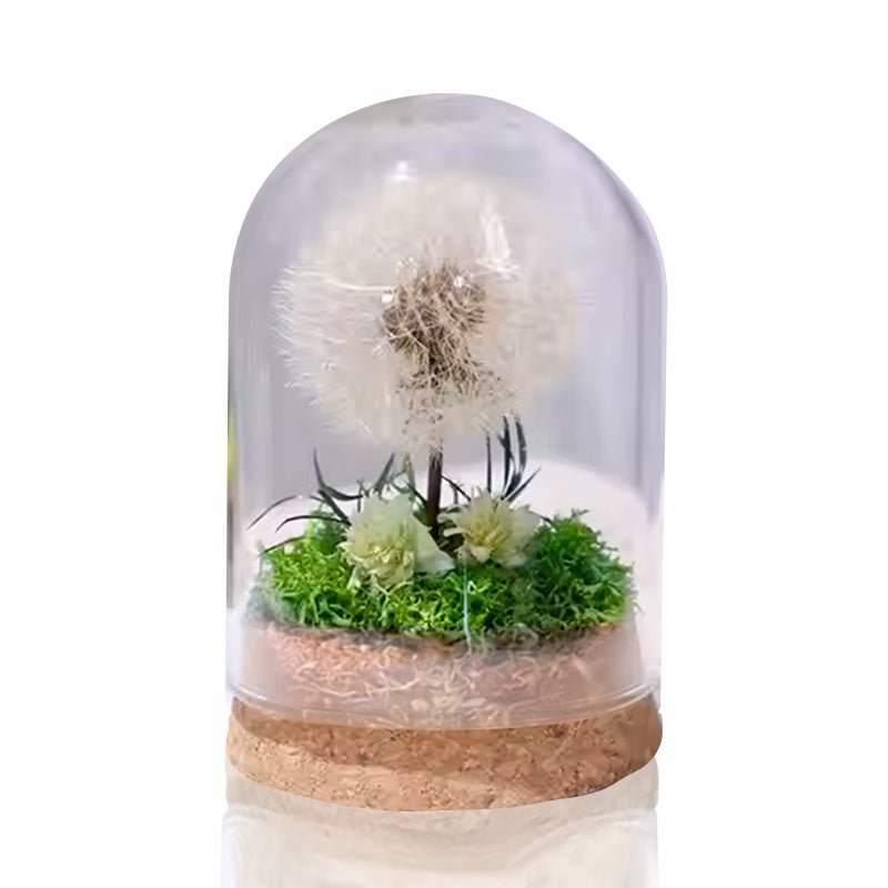 Encased Dandelion - My Custom Heart