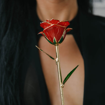 Promise Ring Gift Bundle