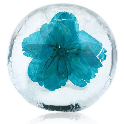 Fresia Fantasy - My Custom Heart