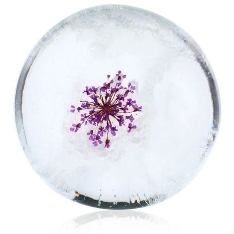 Lavender Dream