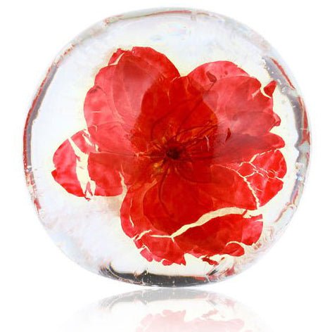 Splash Of Roses - My Custom Heart