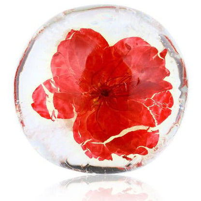 Splash Of Roses - My Custom Heart